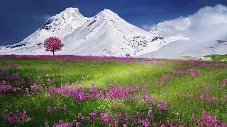 How Lovely is Thy Dwelling Place by Johannes Brahms - The Colorado Choir