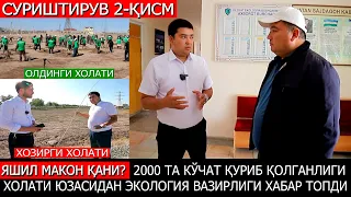 Яшил макон қани? 2000та кўчат тақдири нима бўлди? Суриштирув 2-қисм.