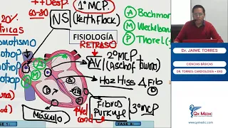 FISIOLOGIA CARDIOVASCULAR/ ENAM