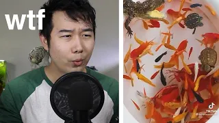 AQUARIUMS GONE WILD (TikTok) | Fish Tank Review 100