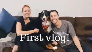 Bernese Mountain Dogs Morning And Night Routine | Vlog 1