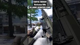 TEMPUS TORRENT Marksman Rifle - NO AMMO ANIMATION ASMR - Call of Duty Modern Warfare 2 - 1080p