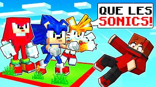 COINCÉ sur UN CHUNK avec SONIC sur Minecraft !