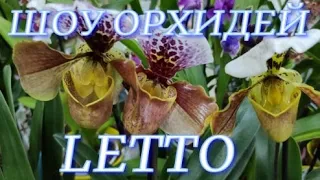 Праздничное шоу орхидей в сц LETTO