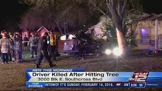 Driver crashes head-on into tree, dies