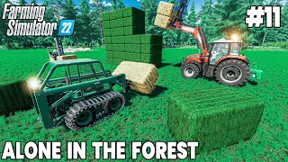 Bought 60 pieces of Livestock, Mowing Forest Grass - Farming Simulator 22 Timelapse