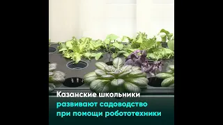 Казанские школьники развивают садоводство при помощи робототехники