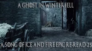 A Ghost in Winterfell ( A Song of Ice and Fire Epic Re-read #25)