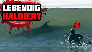 Dieser Surfer Wurde Vom GRÖSSTEN Hai Aller Zeiten In Zwei Hälften Gebissen!