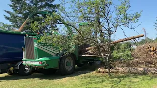 Häckslen mit Albach Diamant 2000 Abfahrt mit Fendt 724