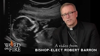 Bishop Barron on Planned Parenthood and the Loss of Human Dignity