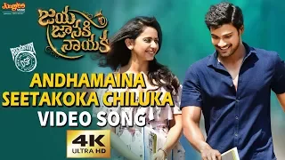 Andhamaina Seetakoka Chiluka Full Video Song | Bellamkonda Sreenivas | Rakul Preet | DSP