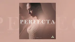 Perfecta - (Versión Bachata)