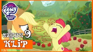 Nie Udało Się Złapać Sadzonka - My Little Pony - Sezon 9 - Odcinek 10''Tajemnica Zbiorów''