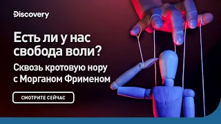 Есть ли у нас свобода воли? | Сквозь кротовую нору с Морганом Фрименом | Discovery