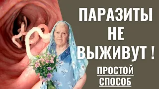 От глистов и других паразитов | Простой способ очищения