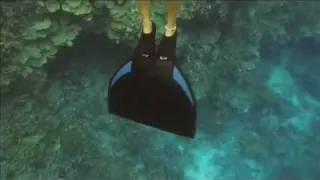 underwater clips