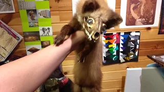 Kiezel Soft Mount Taxidermy Creature