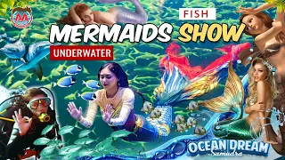 Beautiful Dancing Mermaid with 1000 Fish in a Giant Aquarium - Mermaids Show Ocean Dream 2023