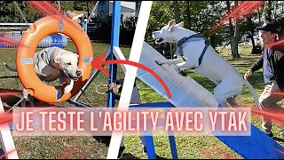 FAIRE DE L'AGILITY DOG - JAWAY