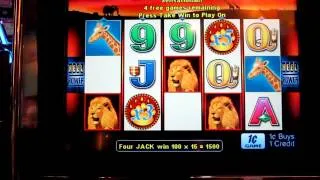 Pride of Africa Slot Big Win