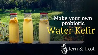 Make your own probiotic #WaterKefir