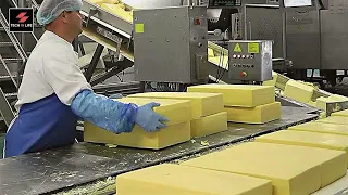 How Cheese Is Made in Factory | Unique Food Processing | See the Food Industry Machines #Shorts