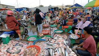 Amazing Wholesale Fish Market - Distributes Freshwater Fish & Seafood - Morning Market Scene |Papa