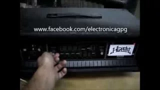 PEAVEY MARK III Reparado