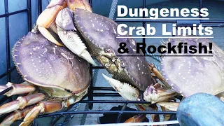 Dungeness Crab Limits + Rockfish w/ Pitbull Tackle!