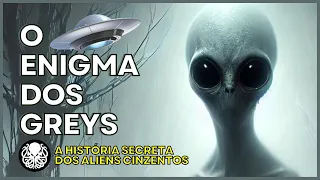 A VERDADE ESTÁ LÁ FORA. Os Aliens Greys e seus segredos.