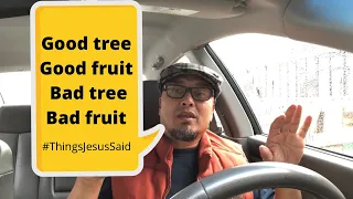 A Tree Is Known By Its Fruit!