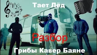 Разбор Грибы - Тает Лёд Баян