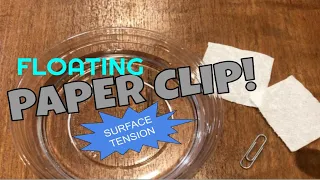 Floating Paper Clip (Surface tension) Experiment