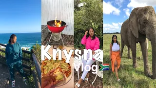 Knysna Travel VLOG (Elephant Park, Wolf Sanctuary, Pizza, Cocktails, Sunsets & Knysna Heads) #travel