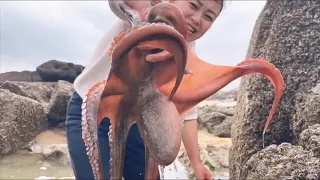 Picking up conch on the beach, unexpected caught an oversized octopus(catch seafood)