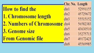 Number of Chromosomes and Chromosome Length from Genome file