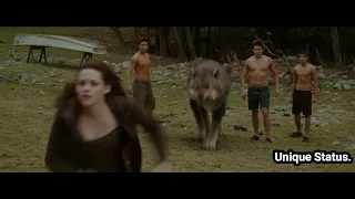 twilight saga whatsapp status