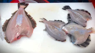 Sashimi caught directly from a fishing boat