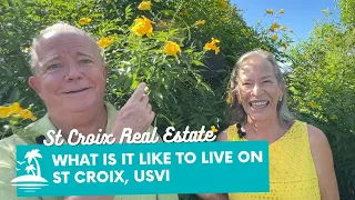 Living on St Croix: What is Really Like? #stcroixrealestate