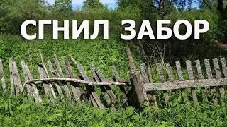 Бюджетный забор и калитка своими руками