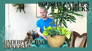 Underplanting With Indoor Plants | Houseplant Tips & Tricks Ep. 22