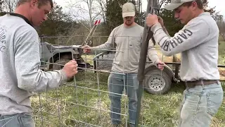 Planting trees in pastures for future livestock shade.