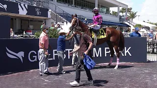 Gulfstream Park Replay Show | March 17, 2021