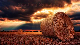 Soothing Symphony: Relaxing Music to Unwind and Find Peace
