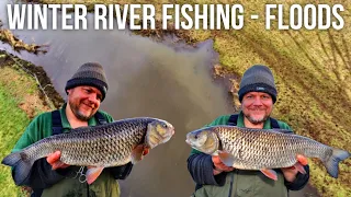 Winter Chub Fishing - Floodwater Receding (Video 247)