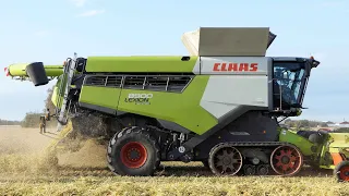 Claas Lexion 8900 harvesting rye | Biggest Claas Combine | Harvest 2023