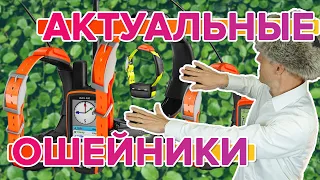 Актуальные собачьи ошейники Garmin