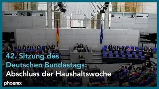 42. Sitzung des Deutschen Bundestags: Haushaltswoche
