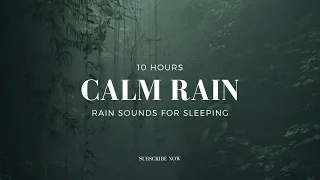 Rain Sounds For Sleeping No Thunder | Study | Focus | Spa | Insomnia | Calming Background Ambience